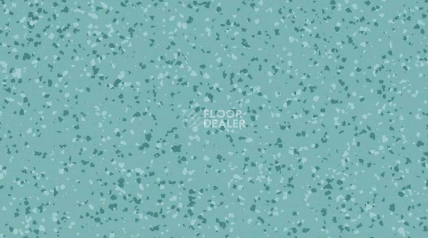 Линолеум Taralay Premium Compact Barazilia 4477 MACEIO фото 1 | FLOORDEALER